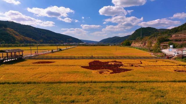 1766476894276061641.png 图片2.png