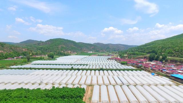 1766648723262052952.png 图片2.png