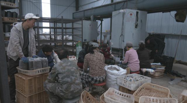 【春耕备耕忙 播种新希望】合水县段家集乡:抢抓农时奏响春耕生产曲337