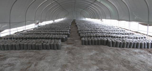 【春耕备耕忙 播种新希望】合水县段家集乡:抢抓农时奏响春耕生产曲673