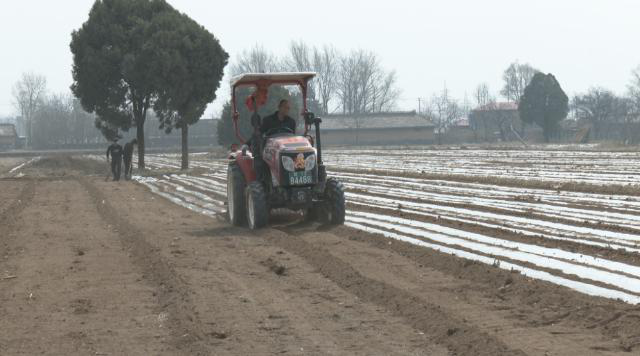 【春耕备耕忙 播种新希望】合水县段家集乡:抢抓农时奏响春耕生产曲157