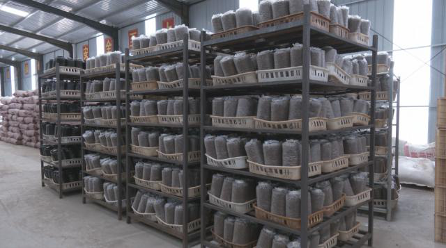 【春耕备耕忙 播种新希望】合水县段家集乡:抢抓农时奏响春耕生产曲339