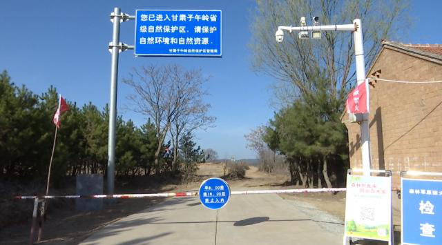 【安全生产治本攻坚三年行动进行时】拓儿塬林场:筑牢“防火墙” 守护“生态绿”369