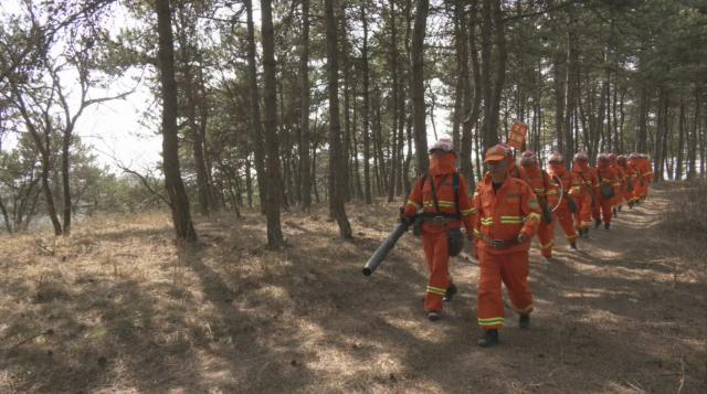 【安全生产治本攻坚三年行动进行时】拓儿塬林场:筑牢“防火墙” 守护“生态绿”135