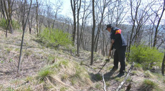 【网络中国节·清明】合水县店子乡多措并举筑牢清明节期间森林防火安全防线173