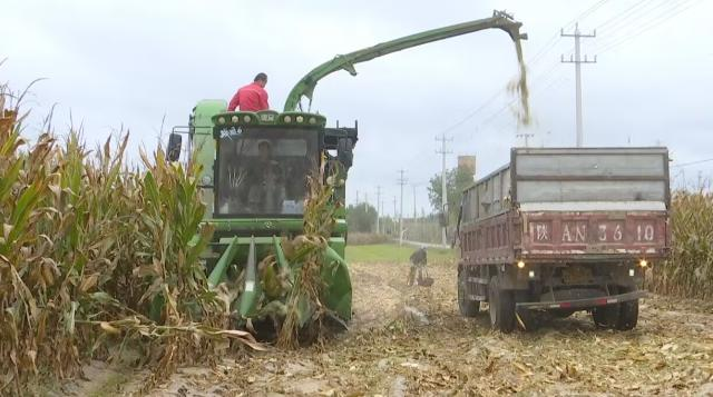 1727572220335079593.png image.png