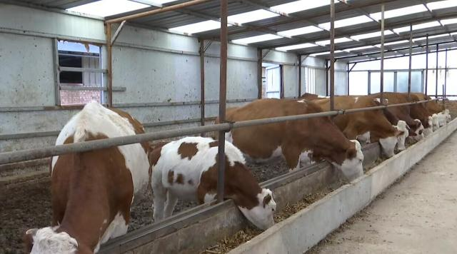 1727572240484060516.png image.png