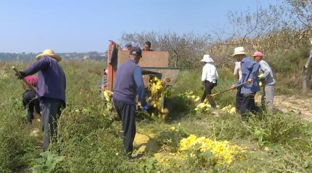 1728371328443085283.png image.png