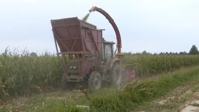 1728371381809050268.png image.png