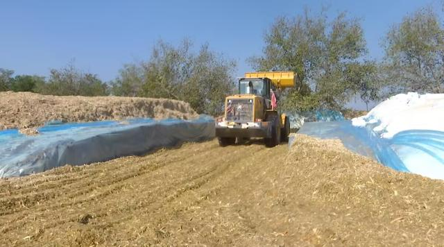 1728371401390021290.png image.png