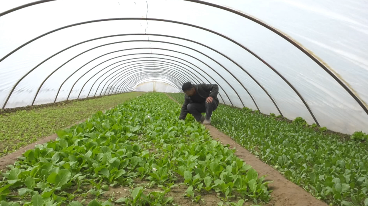 1744184330297089289.png 8d38edbcb8a3b17c249cbf1e7ebf59b2_720.png