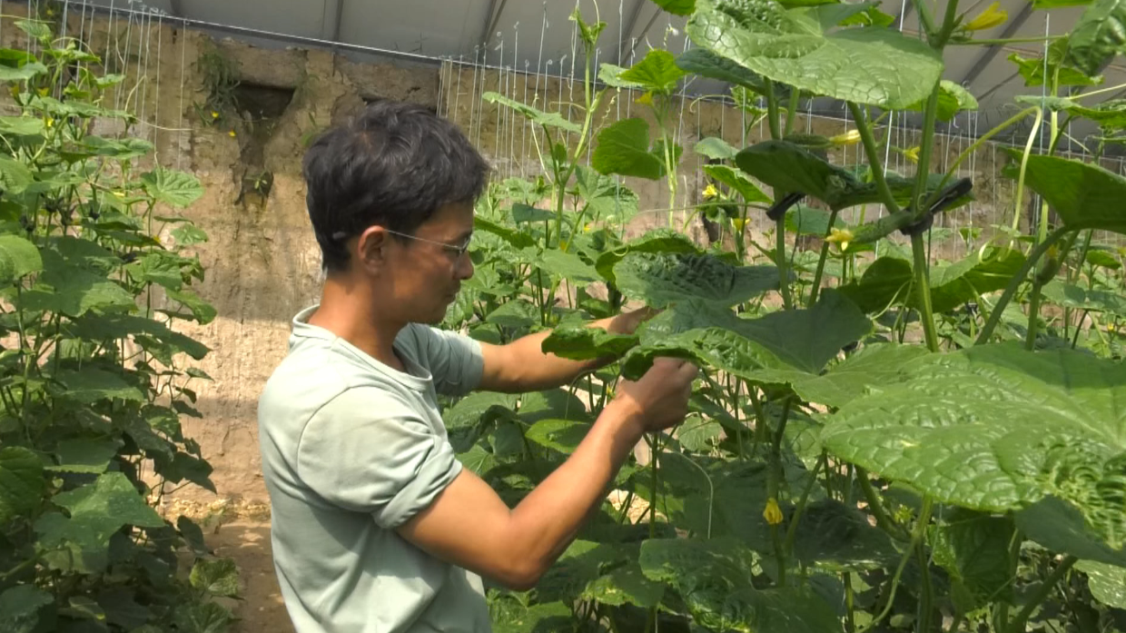 1744184350289053369.png a3e9b28154be8d4d650960ea4fba81f7_720.png