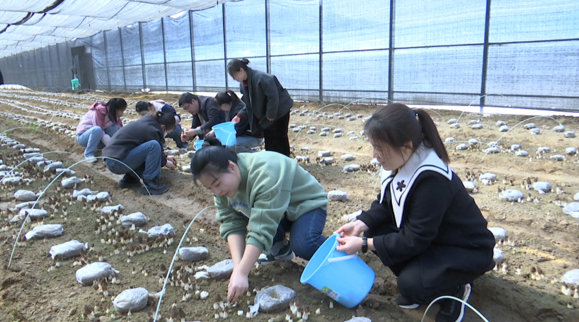 1744616406313012088.png 0a98b103faca36730b4b79781928a8b5_720.png