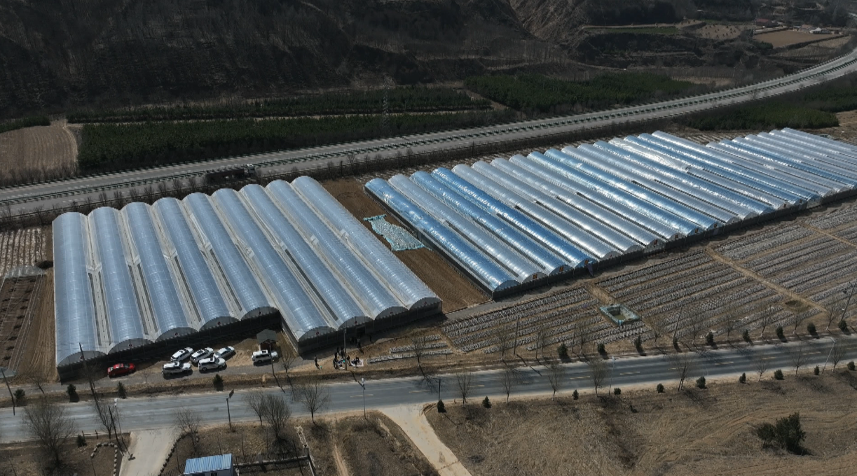 1744616456595087833.png baf52560ae4d970c768c86ff9bc026d1_720.png