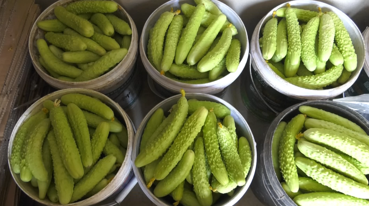 1744184360845052100.png b7e5e1a38e88995fe12b30c963aa8166_720.png