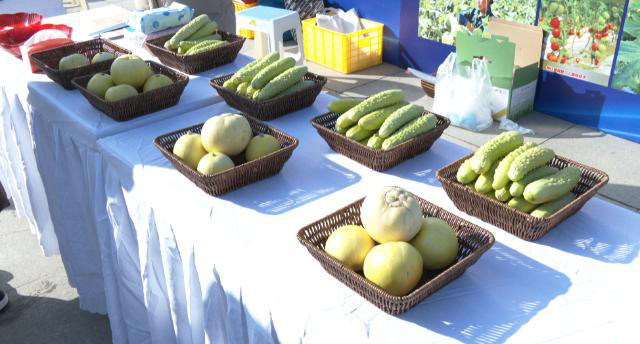 946e46298187457b9e927be3b50b0d4c.png 946e46298187457b9e927be3b50b0d4c.png