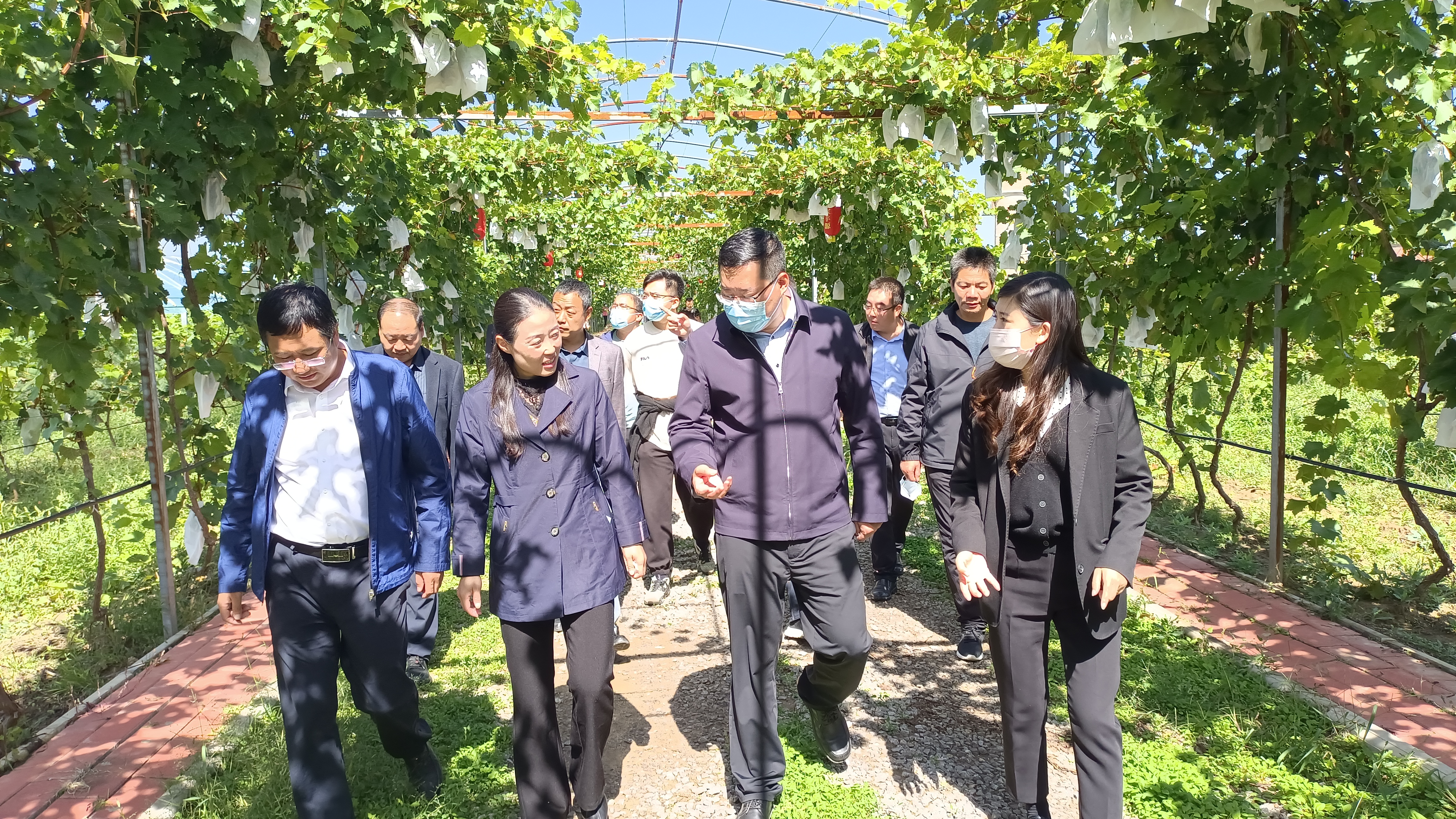 QQ图片20220923172343