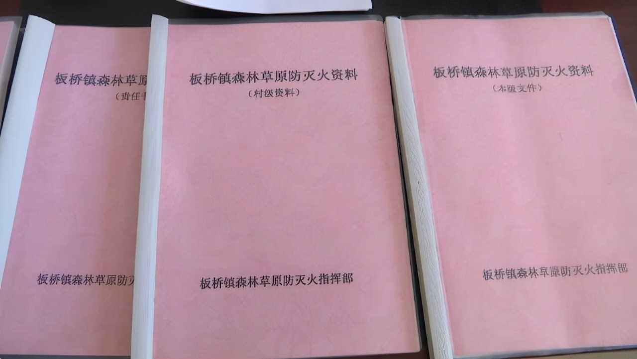 合水县板桥镇：筑牢冬季森林防火墙