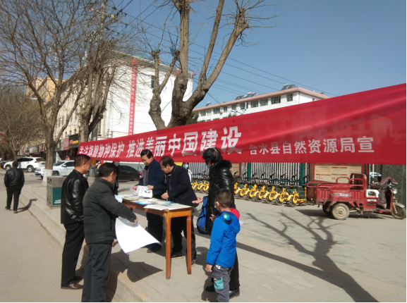 cbcc302eca46479886b5247fa12d63db.png